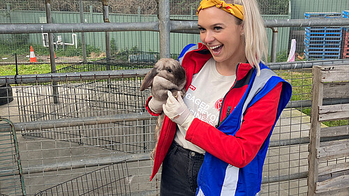 Photo: Hilti: Two pictures of a person holding a rabbit