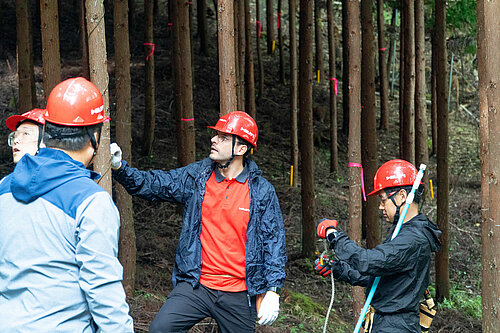 Photo: Hilti: The Hilti Japan team standing in a forest full of trees marked with colorful tape
